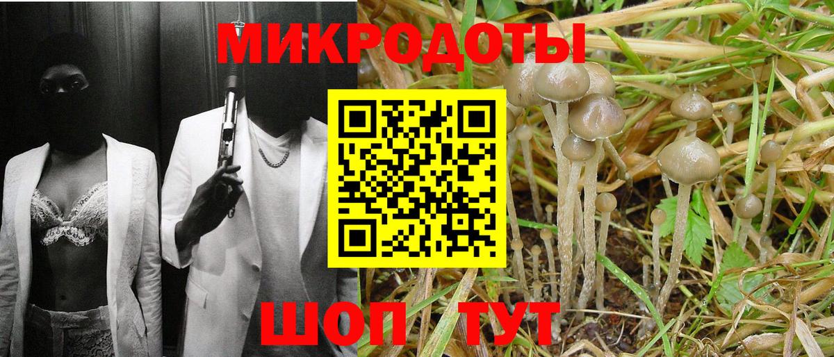 Галлюциногенные грибы мухоморы  Галлюциногенные грибы мицелий  Заречный  Вход с VPN 
