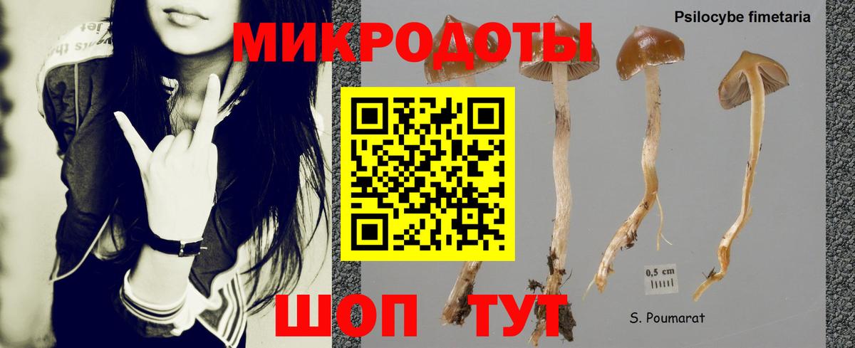 Псилоцибиновые грибы мухоморы Заречный